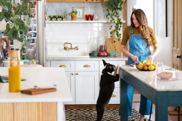 How To Find Pet-Friendly Rentals Easily