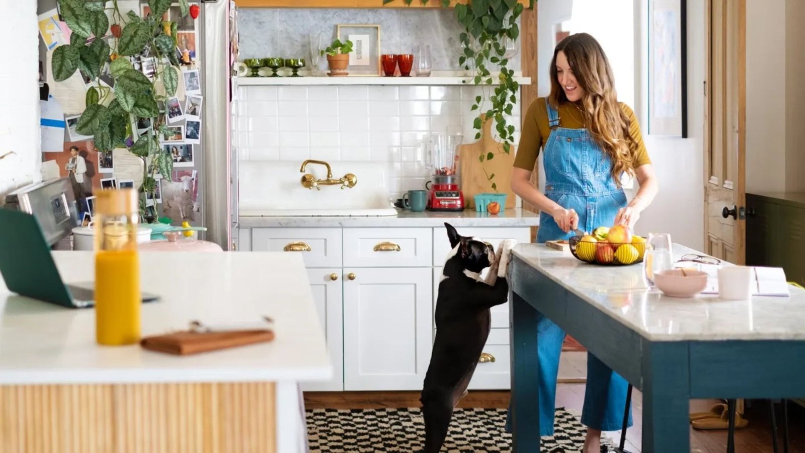 How To Find Pet-Friendly Rentals Easily