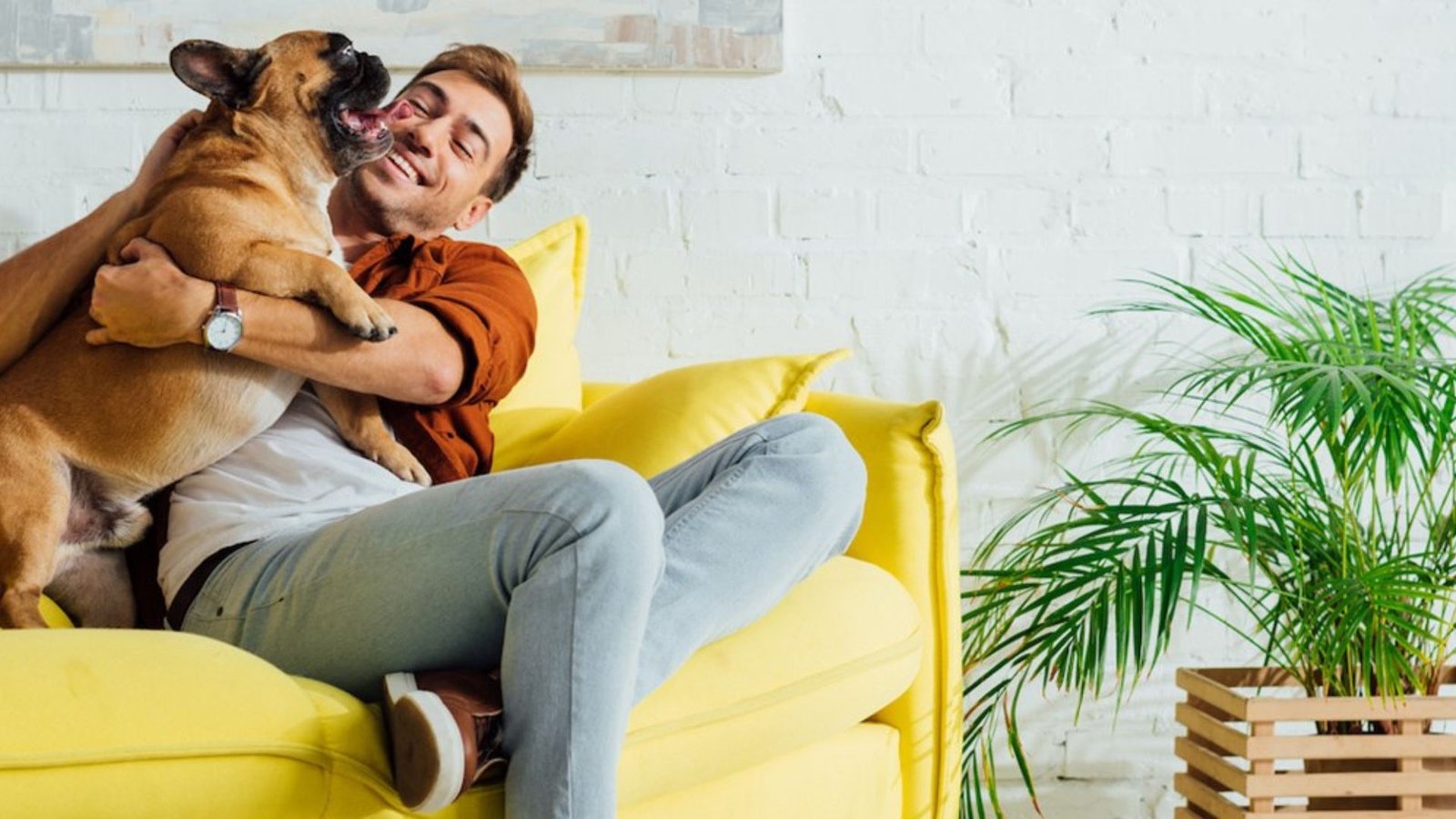 How To Find Pet-Friendly Rentals Easily