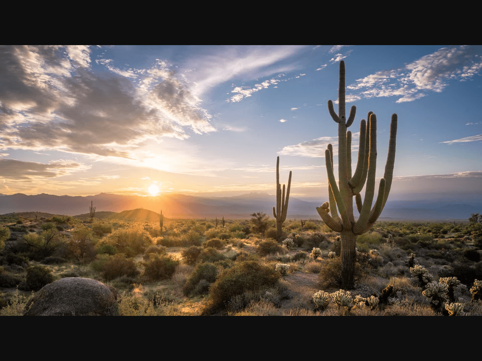 Differences Between Land-Based and Mobile Casino Rentals